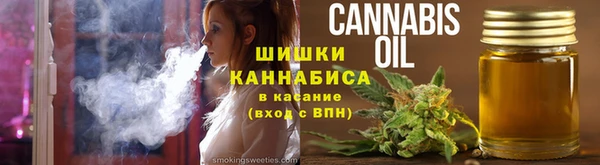 сатива Бронницы
