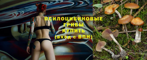 прущие крисы Богородск
