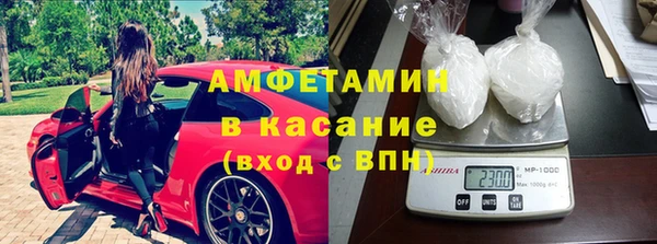сатива Бронницы