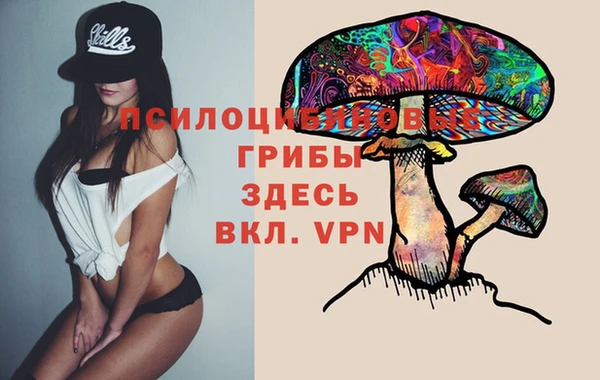 MDMA Богданович