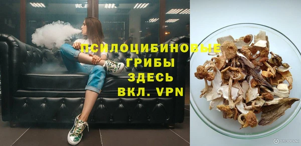 меф Богородицк