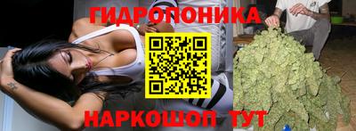 ECSTASY Ливны